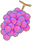 Peone Grapes